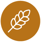 Preloader